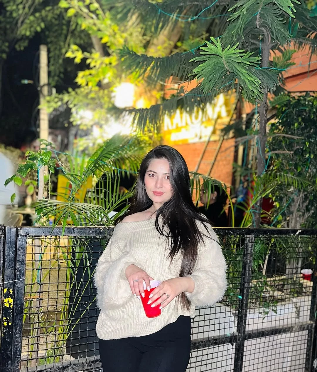 Naina – Indian escort in Mumbai — 2 / 3