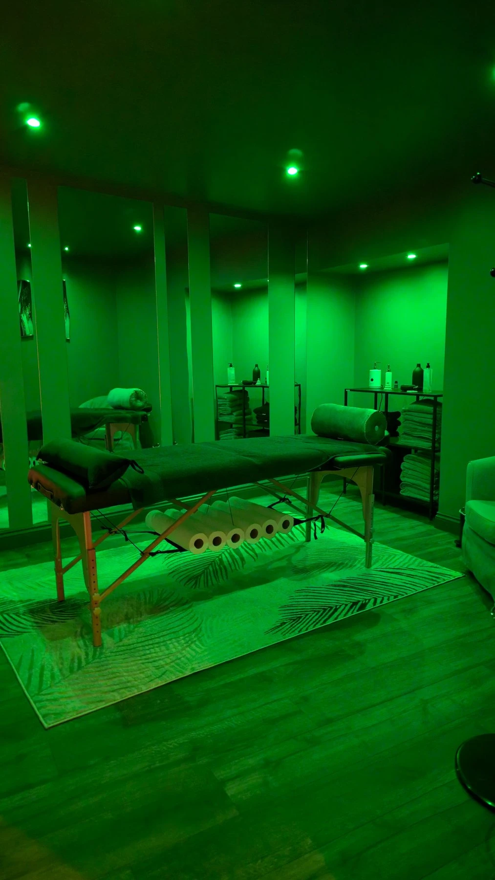 Anitta – Brazilian masseuse in Dublin — 9 / 14