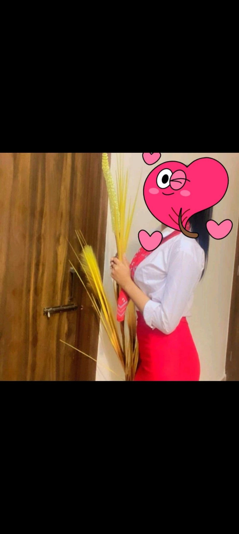 Radika – Indian escort in Jaipur — 3 / 4