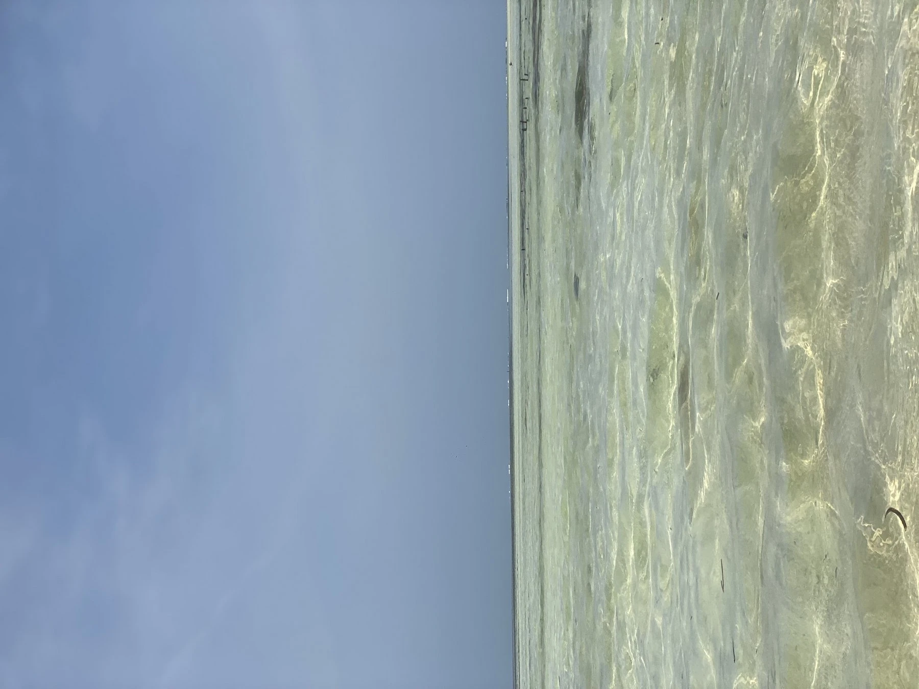 Jojoblack – Tanzanian escort in Dar es Salaam — 4 / 8