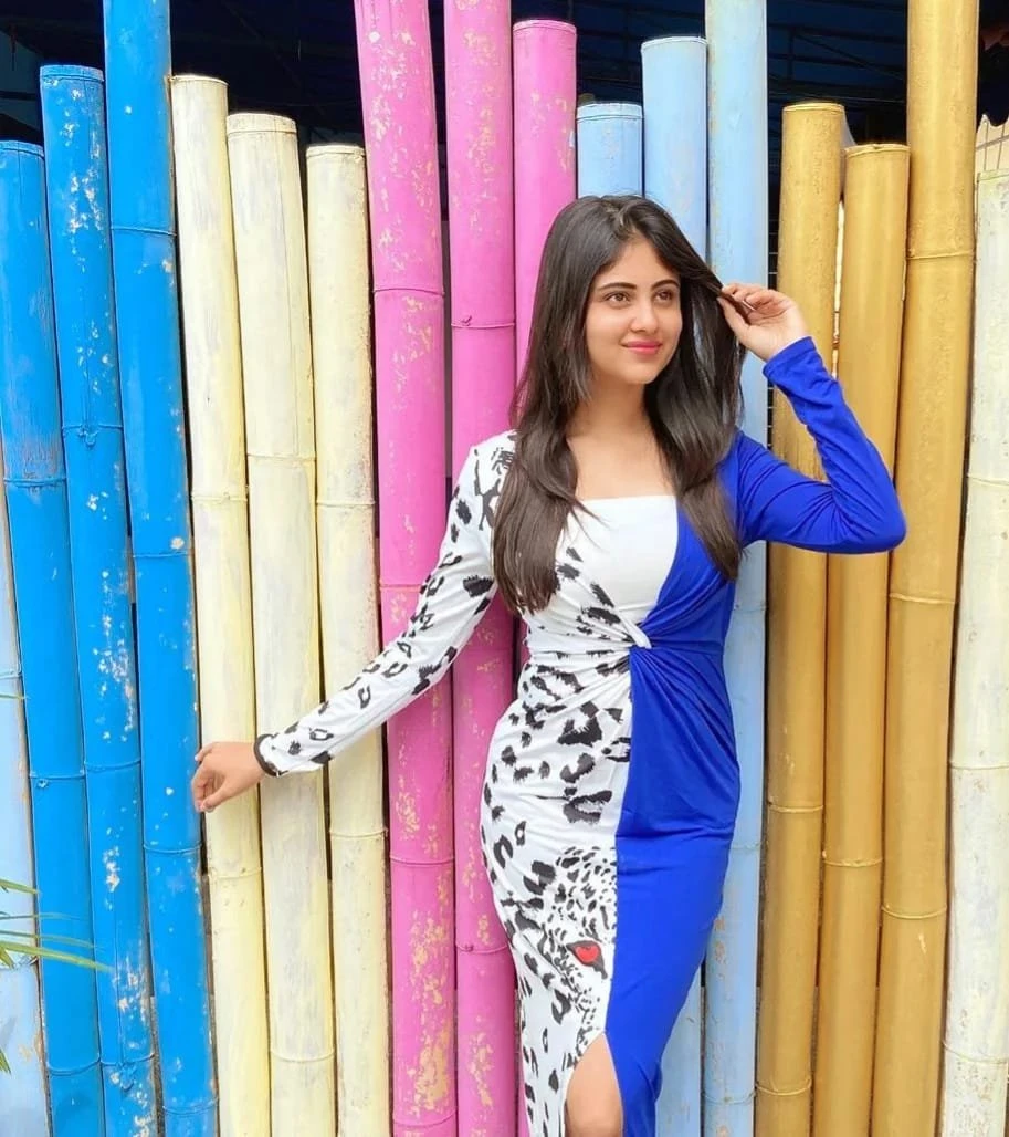 5star. Real Meet $ Cam session – Indian escort in New Delhi — 2 / 4