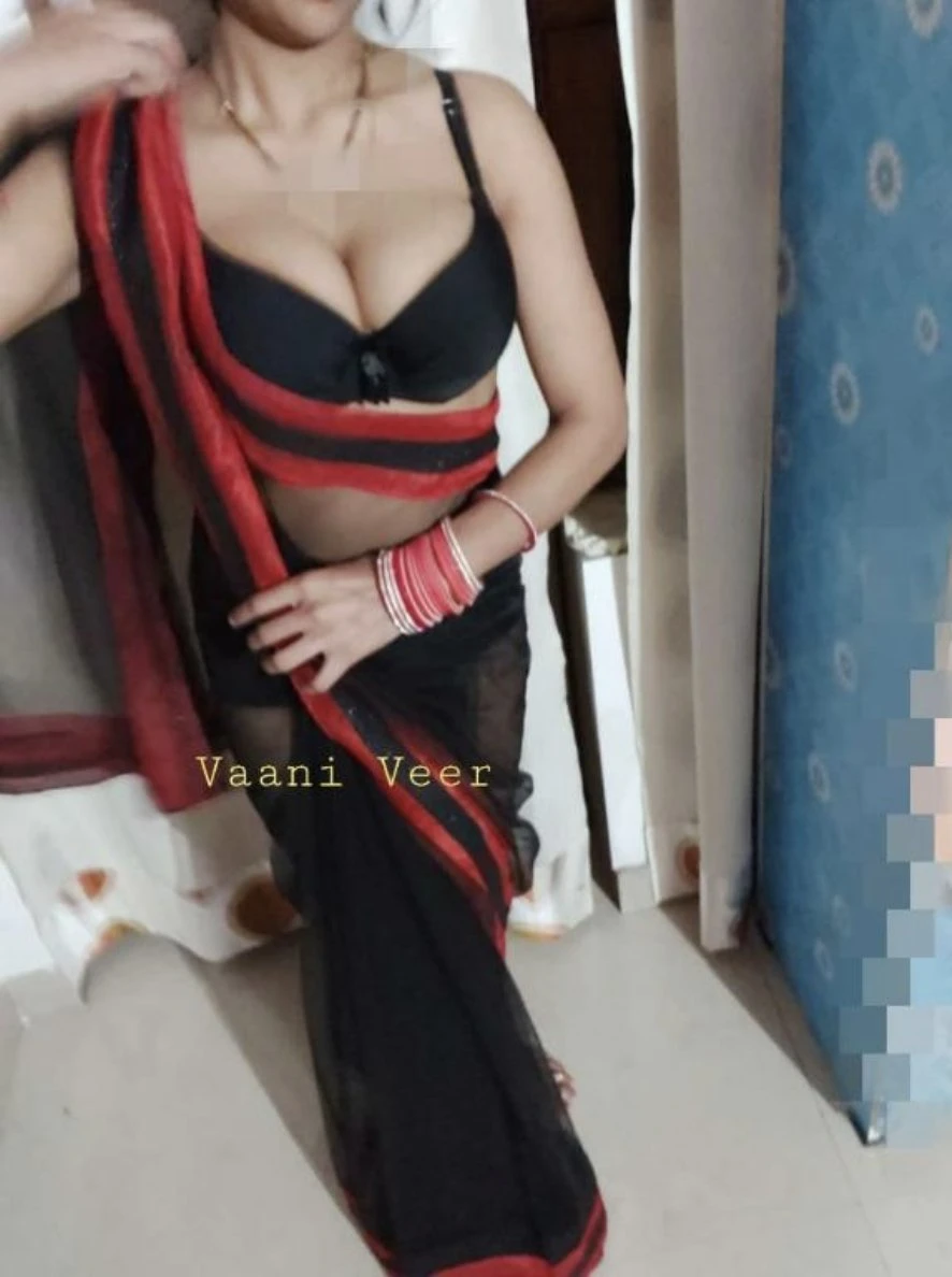 Vaani – Indian escort in New Delhi — 3 / 4