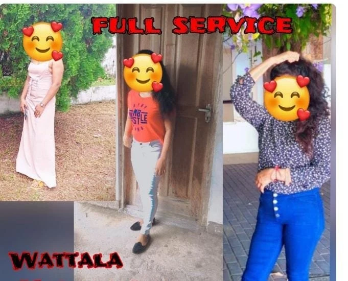 Shashi – Sri Lankan escort in Colombo, Escort, Colombo