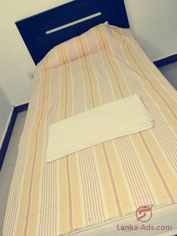 Tina – escort in Colombo, Escort, Colombo