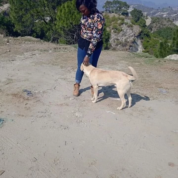 Samantha Lawrenceville – South African escort in Ludhiana — 10 / 15