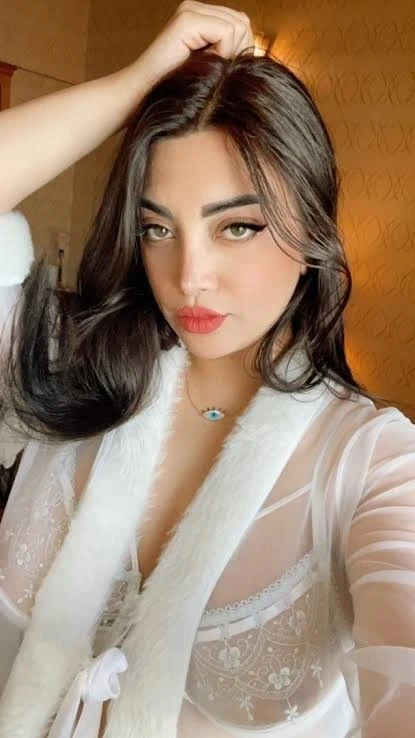 NOIDA ESCORTS AGENCY ALL HOTELS HOME APA – Indian escort in Noida — 3 / 10