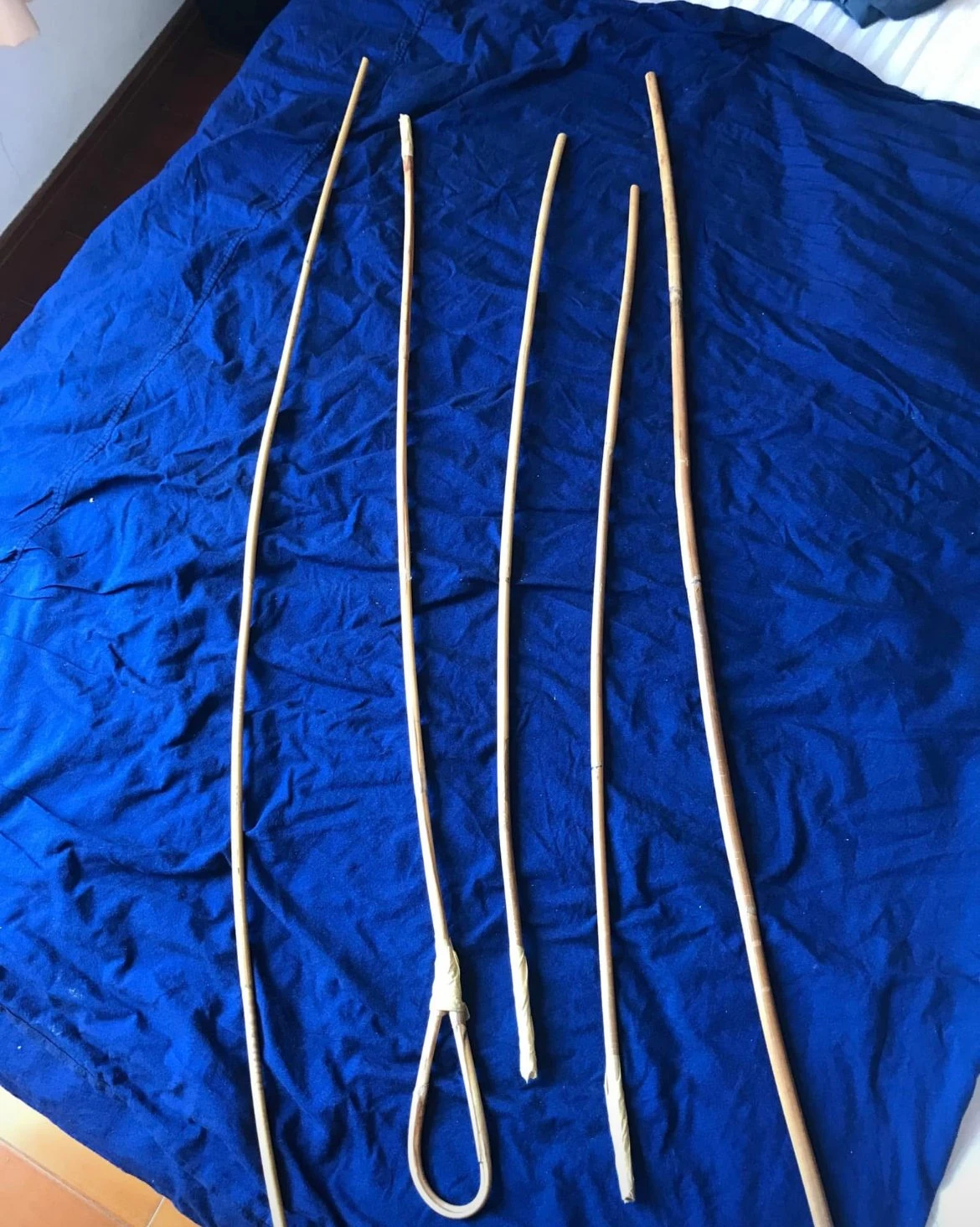 Canning Slave – escort in Colombo — 2 / 5
