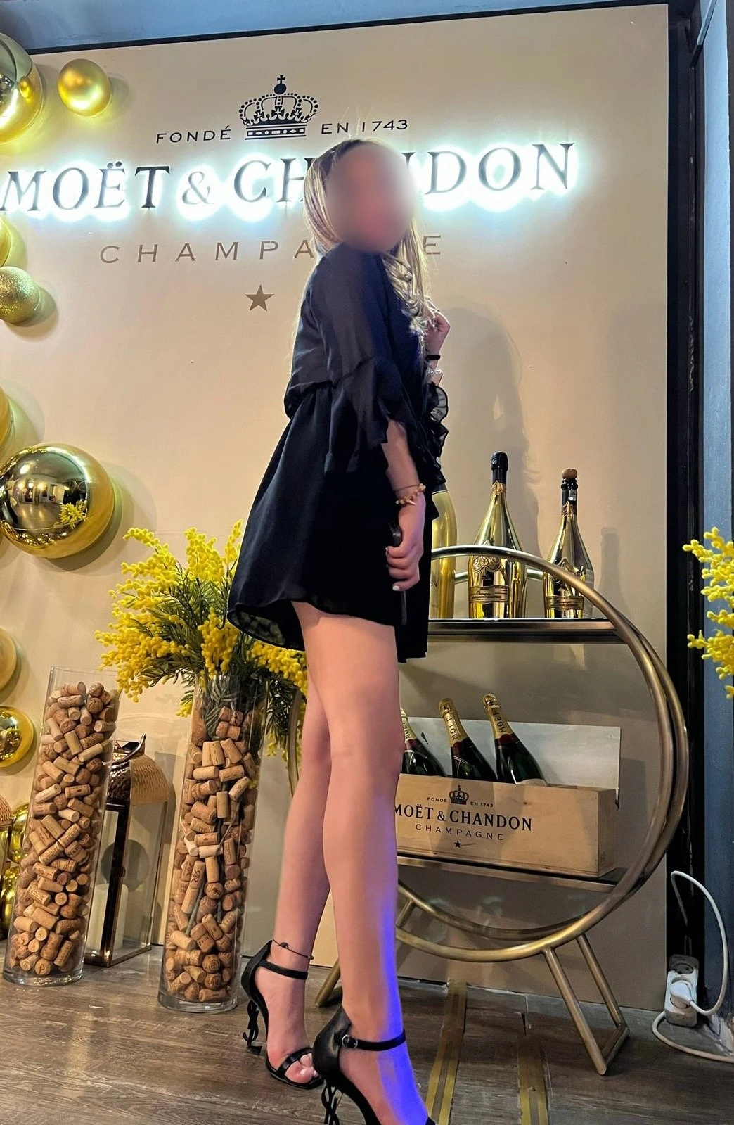 Victoria Diana Independent GFE – Polish escort in Colombo — 21 / 24